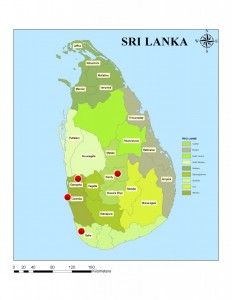 nest sri lanka